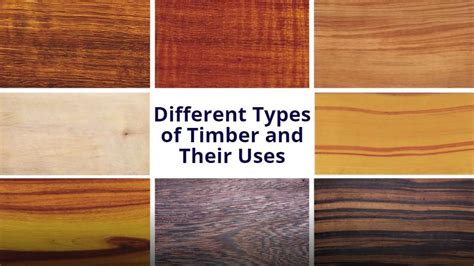 10 Different Types Of Timber And Their Uses