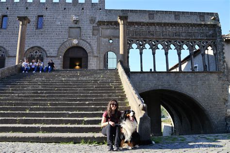 Tuscia Viterbese Cosa Vedere A Viterbo E Dintorni Walk To World