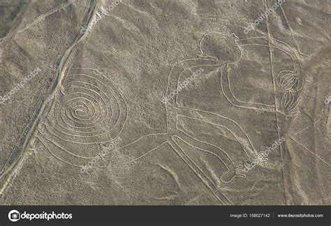 Nazca Lines - The Monkey — Stock Photo © pizzatravel #158027142