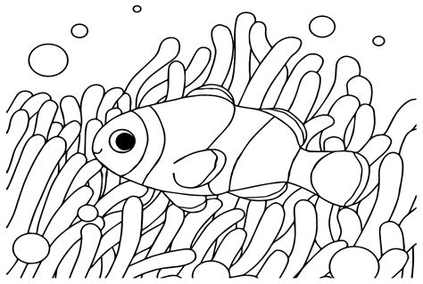 Clownfish Fish Coloring Printable Pages Stencils Drawing Clown Template