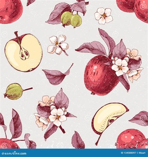 Seamless Pattern With Hand Drawn Apple Fruits And Flowers Stock Vector