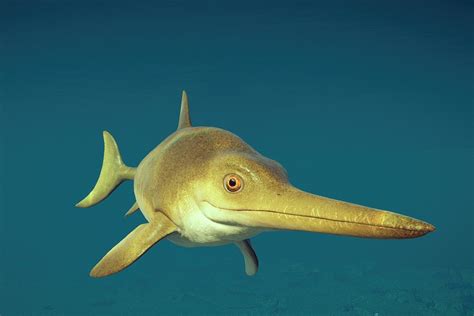 Jwe Ichthyosaurus By Brandonallen1213 On Deviantart