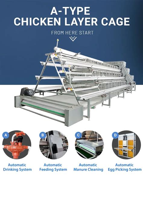 Poultry Farming Equipment A Type Layer Chicken Cage With Automatic