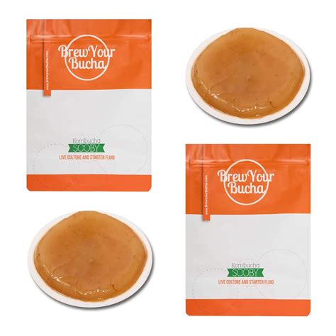 Amazon Brew Your Bucha T Kombucha Scoby Con L Quido De Iniciaci N