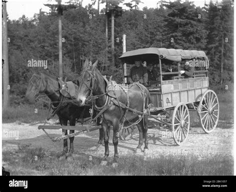 Horse Drawn Ambulance Black And White Stock Photos And Images Alamy