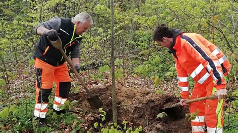 Klosterpark Oestringfelde Heiligtum Wieder Komplett