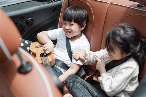 Know The Law Are Seat Belts Required In The Back Seat