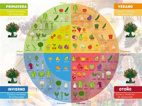 Calendario Anual De Frutas Y Verduras Ecoenol Verduras De Temporada