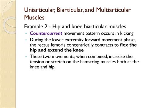 Chapter 2 Neuromuscular Fundamentals Ppt Series 2c Ppt Download