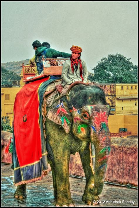 royal elephant ride hdrcreme