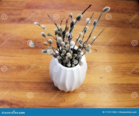 Pussy Willow Branches In A Vase Stock Photo Image Of Beautiful