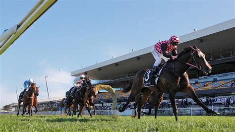 Engagement With Australian Horse Racing ‘grew During Covid 19 News