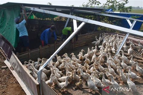 Angin Puting Beliung Terjang Madiun Antara News