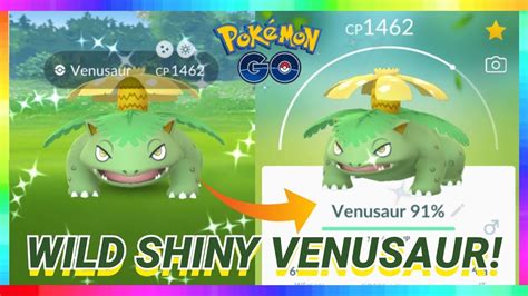 Random Iv Wild Shiny Venusaur Caught In Pokemon Go Youtube