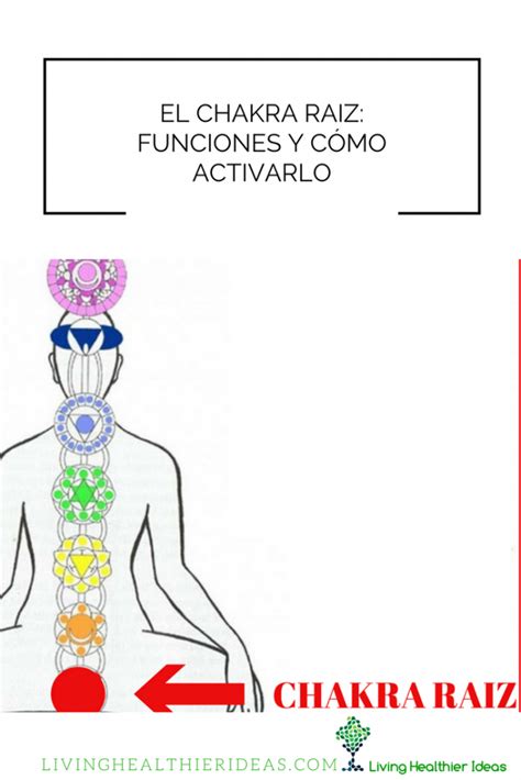 El Chakra Raiz funciones y cómo activarlo Living Healthier Ideas