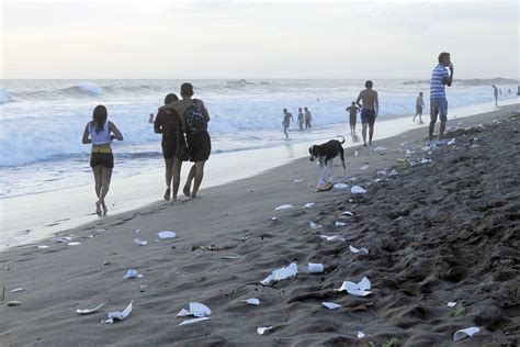 Reciclanica Sugiere Ordenanza Que Sancione A Quienes Tiren Basura En