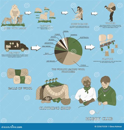 Sheep Industry. Stages of Wool Production. Infographic. Stock Vector ...