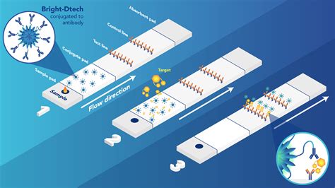 Lateral Flow Application Poly Dtech