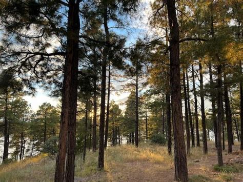 Fools hollow lake in Arizona : r/camping