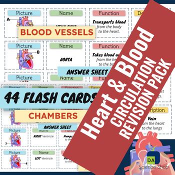 Circulatory System Heart Blood Circulation Revision Flash Cards