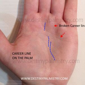 Best Palmistry Blog for Specialist Learning - Destiny Palmistry