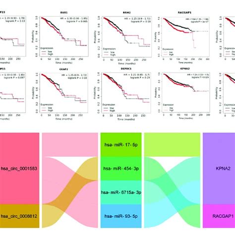 The Construction Of Prognosis Related Cerna Network A Kaplan Meier