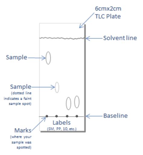 Solved Include The Image Of Your Tlc Plate Here Calculate The R F