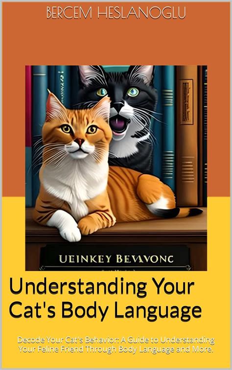 Understanding Your Cats Body Language Decode Your Cats Behavior A