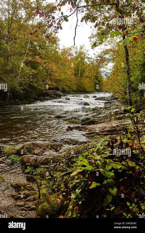 Autumn Foliage And Waterfalls In Forested Tennessee Riverbank Stock