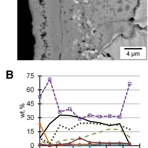 Sem Micrograph Of An Oxide Scale Formed On L Ss Exposed To The Hrz