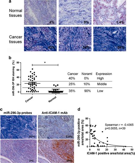 Mir P Is Upregulated And Negatively Correlated With Icam In