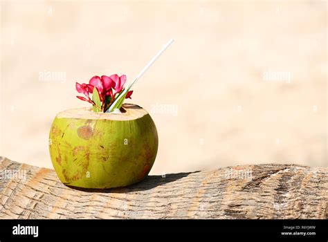 coconuts on the beach Stock Photo - Alamy