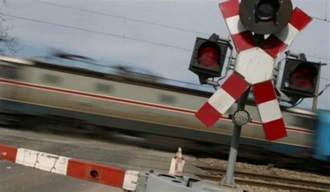 Un Cioban I Turma Sa De Oi Au Fost Spulbera I De Un Tren Care Circula