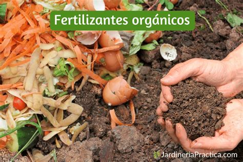 12 Tipos de Fertilizantes Orgánicos Jardinería Practica