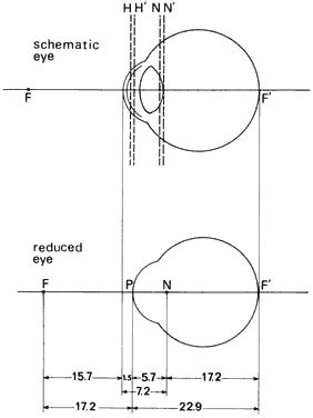 Fig 18