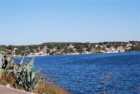 Baignade Dans L Tang De Berre Bouches Du Rh Ne Frequence Sud Fr