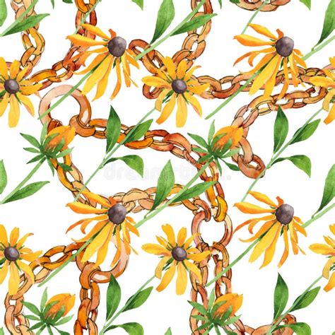 Rudbeckia Hirta Flores Botânicas Florais Conjunto De Ilustrações De