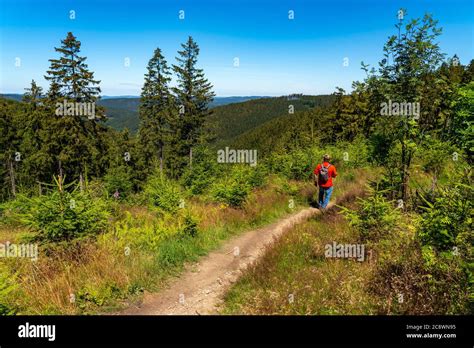 Hiking In Sauerland On The Rothaarsteig A Long Distance Hiking Trail