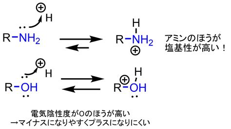 アミンとは？有機化学の基礎 ネットdeカガク