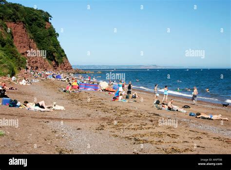 Shaldon Beach Devon Stock Photo Alamy