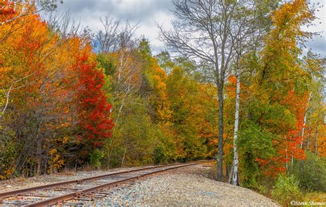 Railroad Tracks In Fall Foliage New Hampshire New England Steve