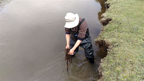 Meandering Rivers Peng Gao Syracuse University