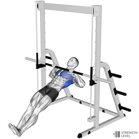 Inverted Row Exercise