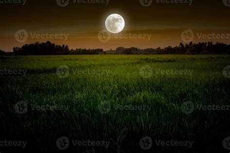 Full moon in rice field 11869689 Stock Photo at Vecteezy