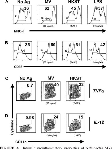 Figure 3 From Protective Immunity In Vivo And T Cell Responses And