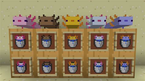 How Do I Put An Axolotl In A Bucket In Minecraft At Tracy Swiderski Blog