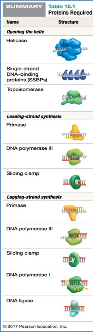 Solved Refer to the above diagrams and match the components | Chegg.com