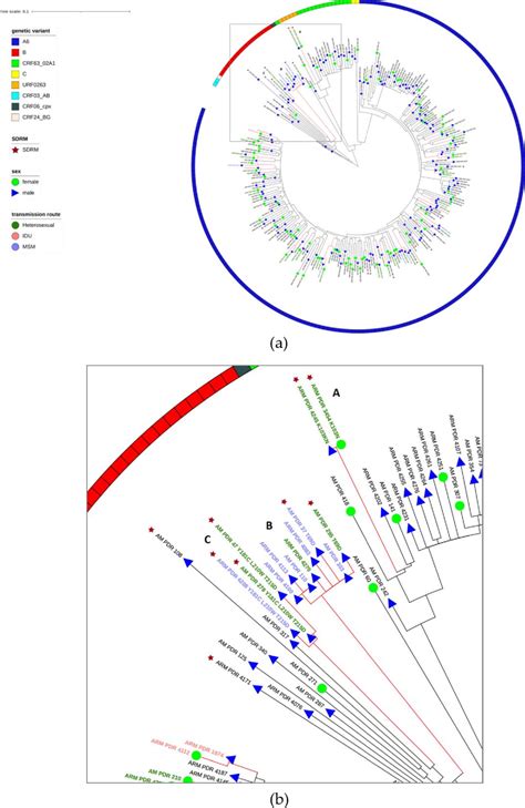 PDF Prevalence Of Pretreatment HIV 1 Drug Resistance In Armenia In