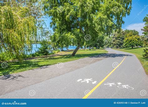 Running Jogging Walking Cycling Skating Track Stock Photo Image Of