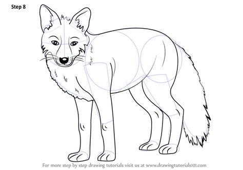 Learn How To Draw A Fox Zoo Animals Step By Step Drawing Tutorials